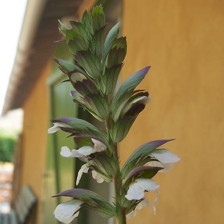 Вилла Le Petit Bacalan Mormoiron Экстерьер фото